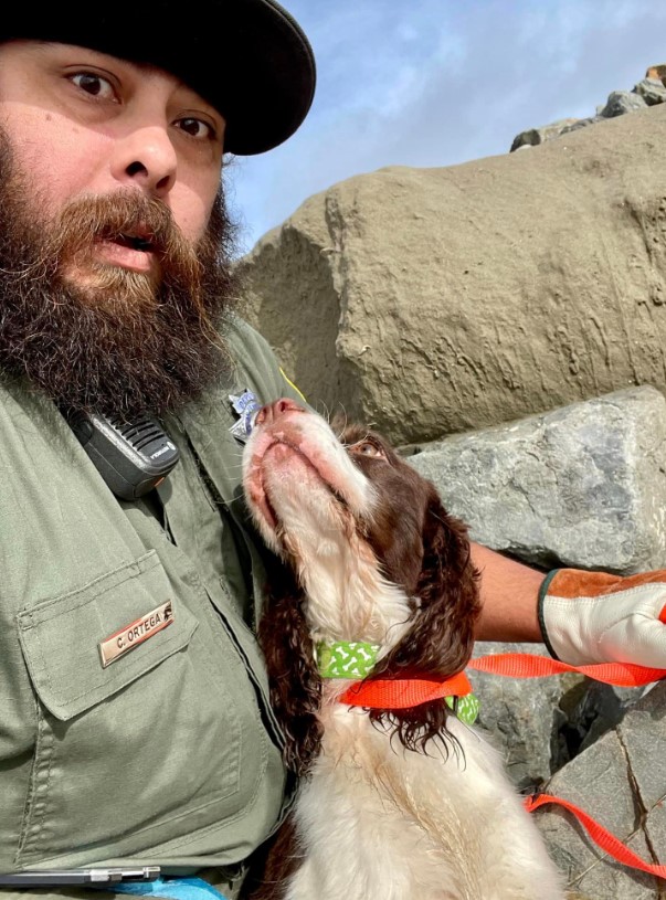 the dog looks faithfully at the man who saved him