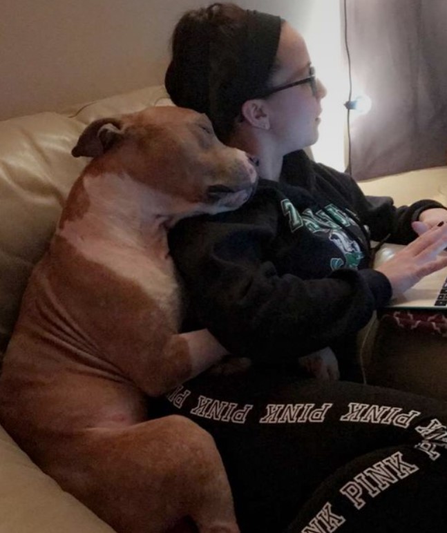 the dog sleeps next to the woman who saved him