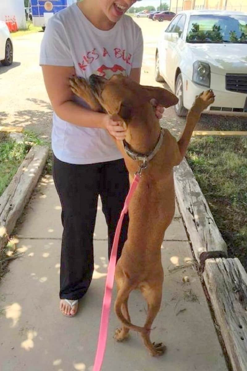 the dog stands on its hind legs next to the woman while she caresses her