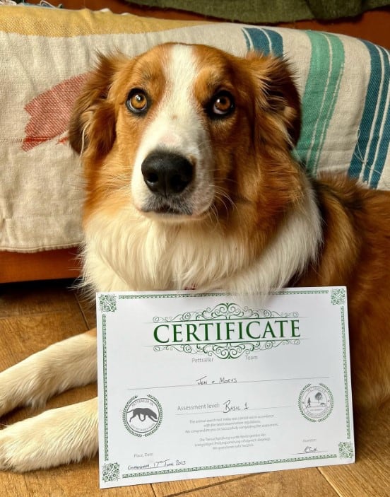 the dog takes a picture with the certificate