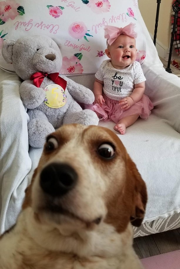 the girl takes a picture, the dog enters the frame