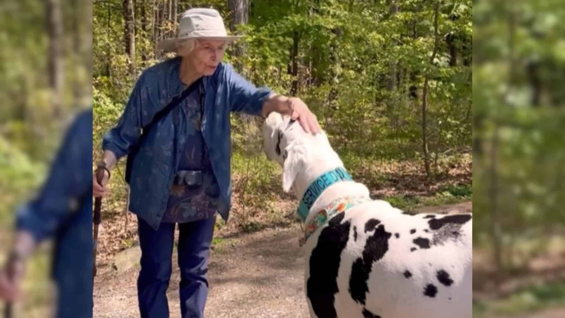 This Great Dane Is Head Over Heels In Love With His New Grandma