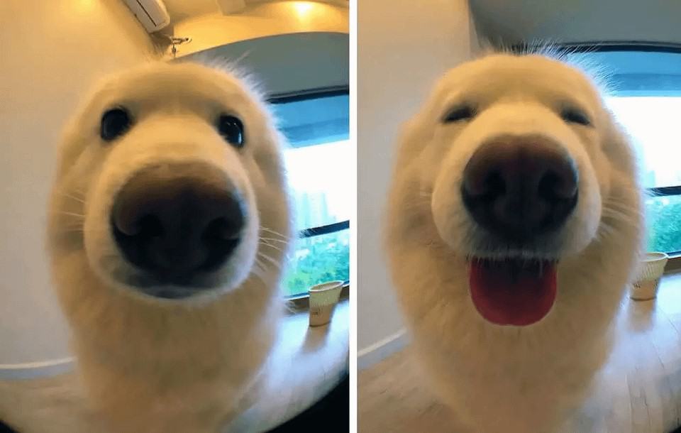 The Happiest Cloud