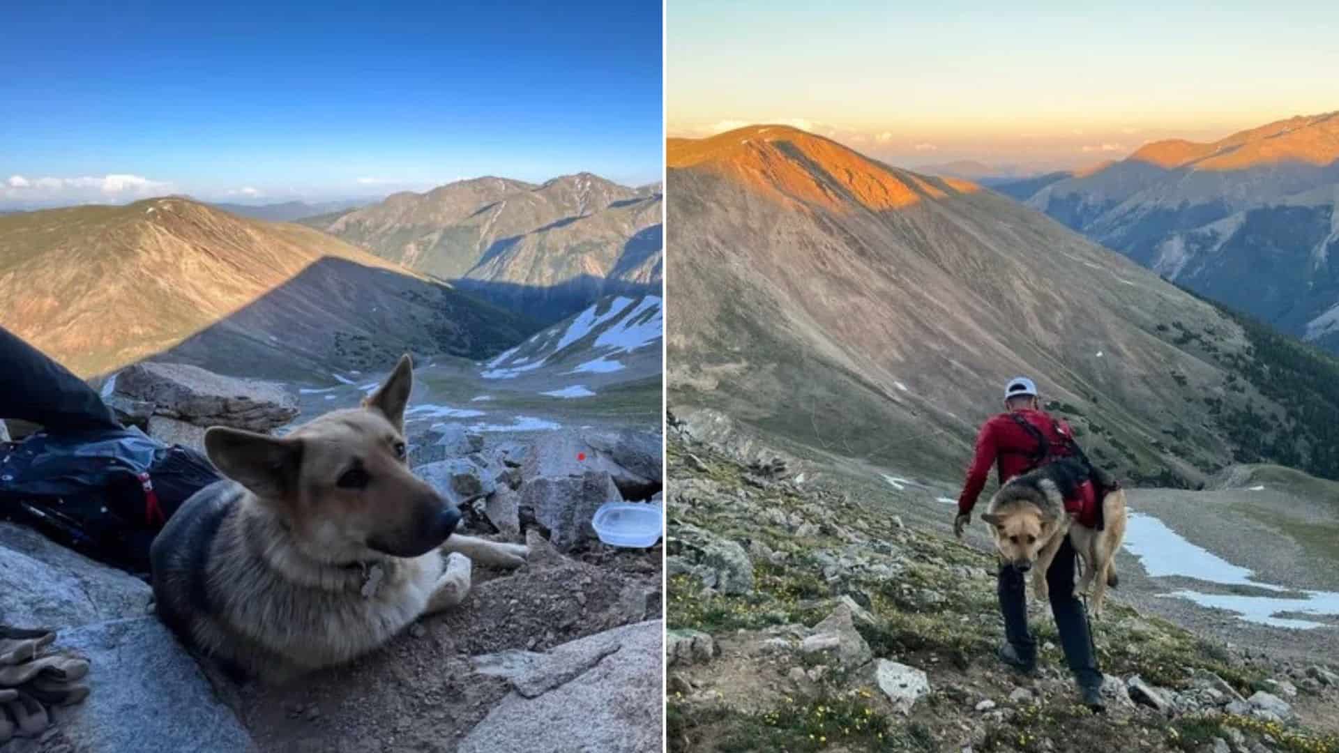 The Heroic Rescue Of A Dog Stuck On A Mountain