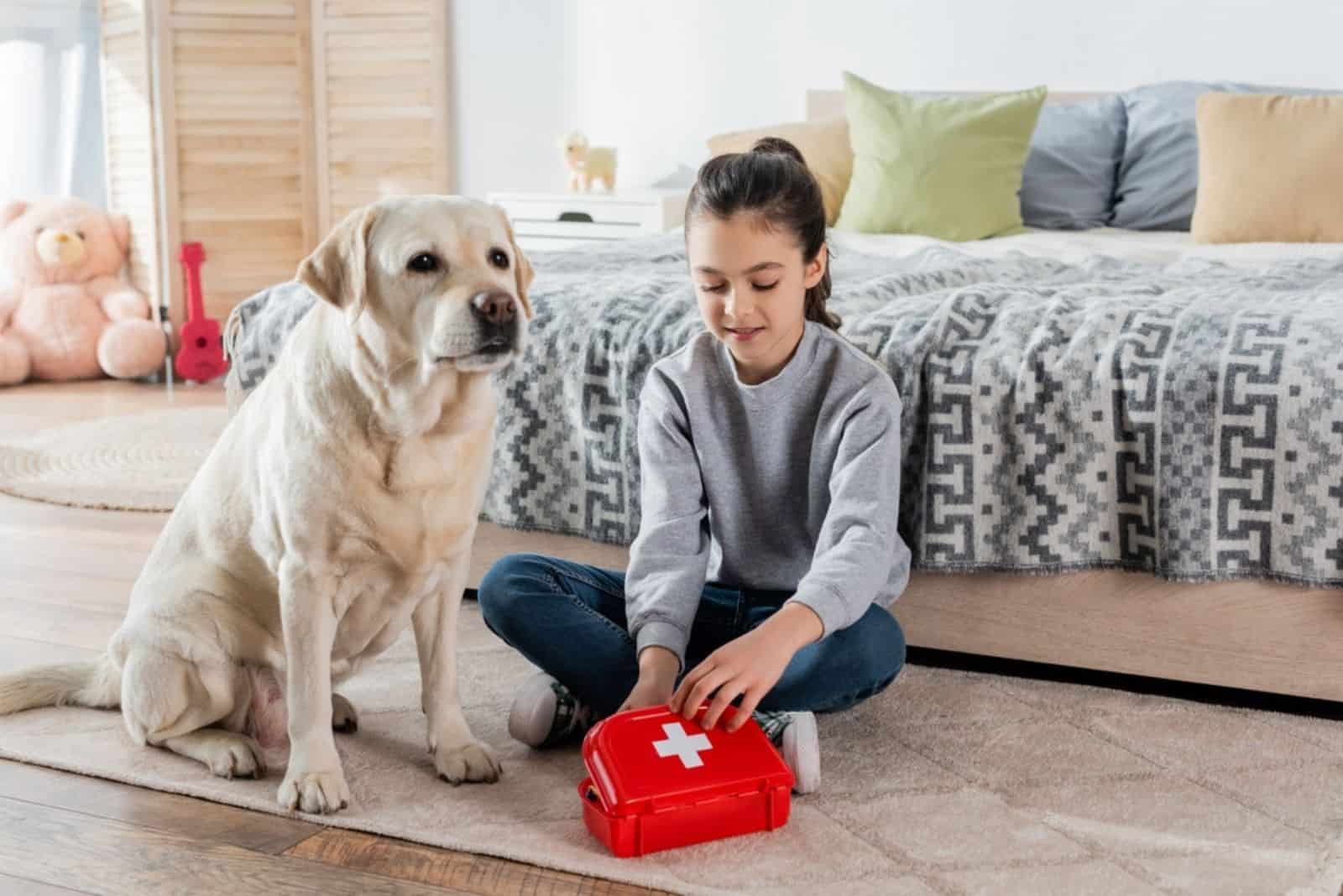 the little girl opens the first aid labrador sits next to her