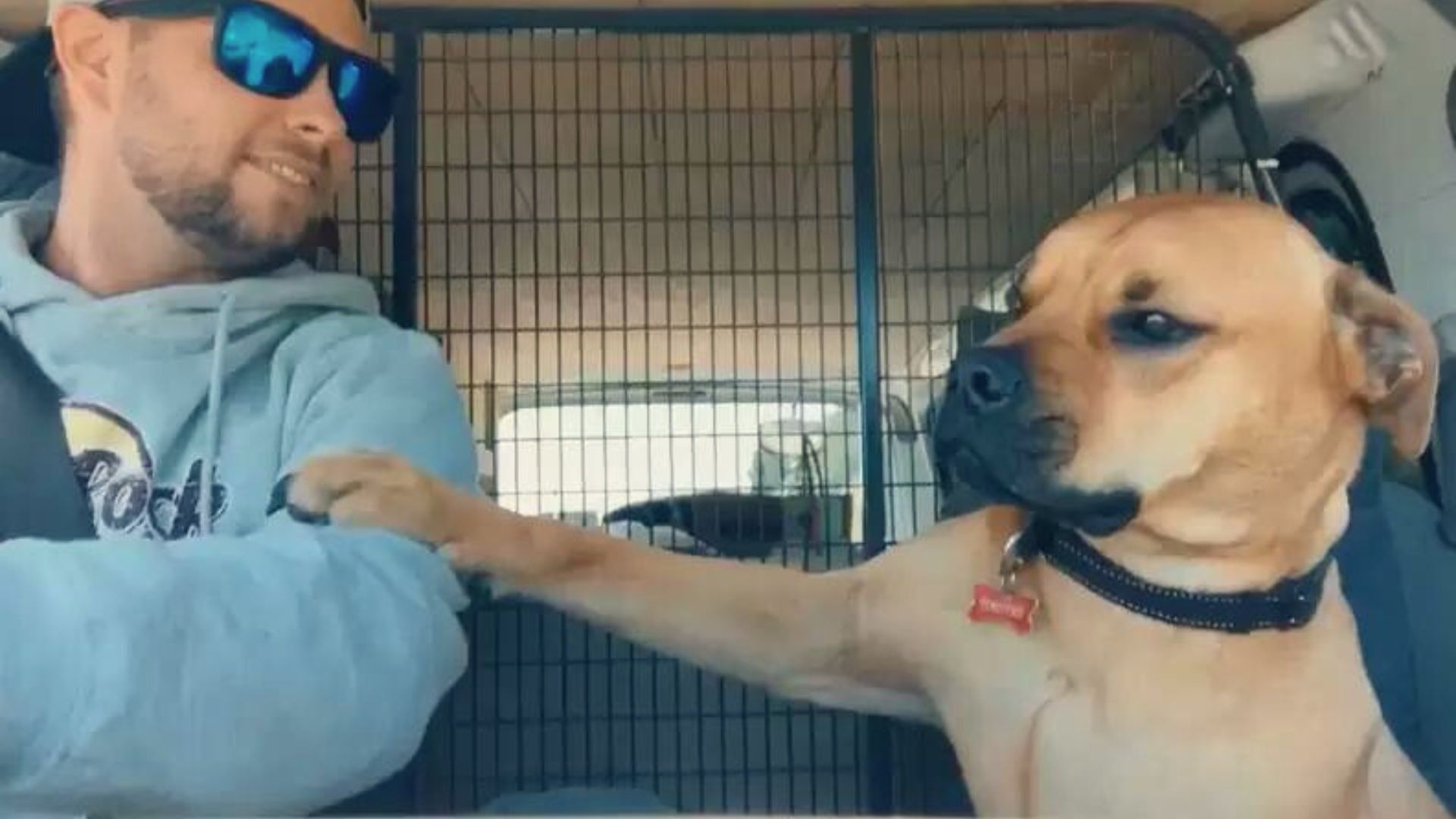 This Rescue Dog Holding His Owner’s Hand Will Make Your Day