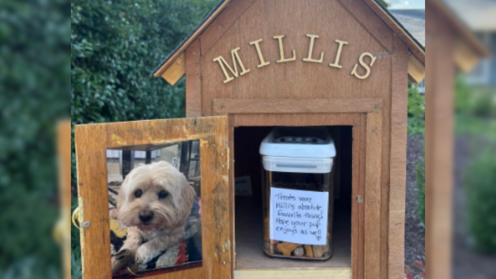 The Heartwarming Story Behind This Dog Treat Stop Box Will Bring You to Tears