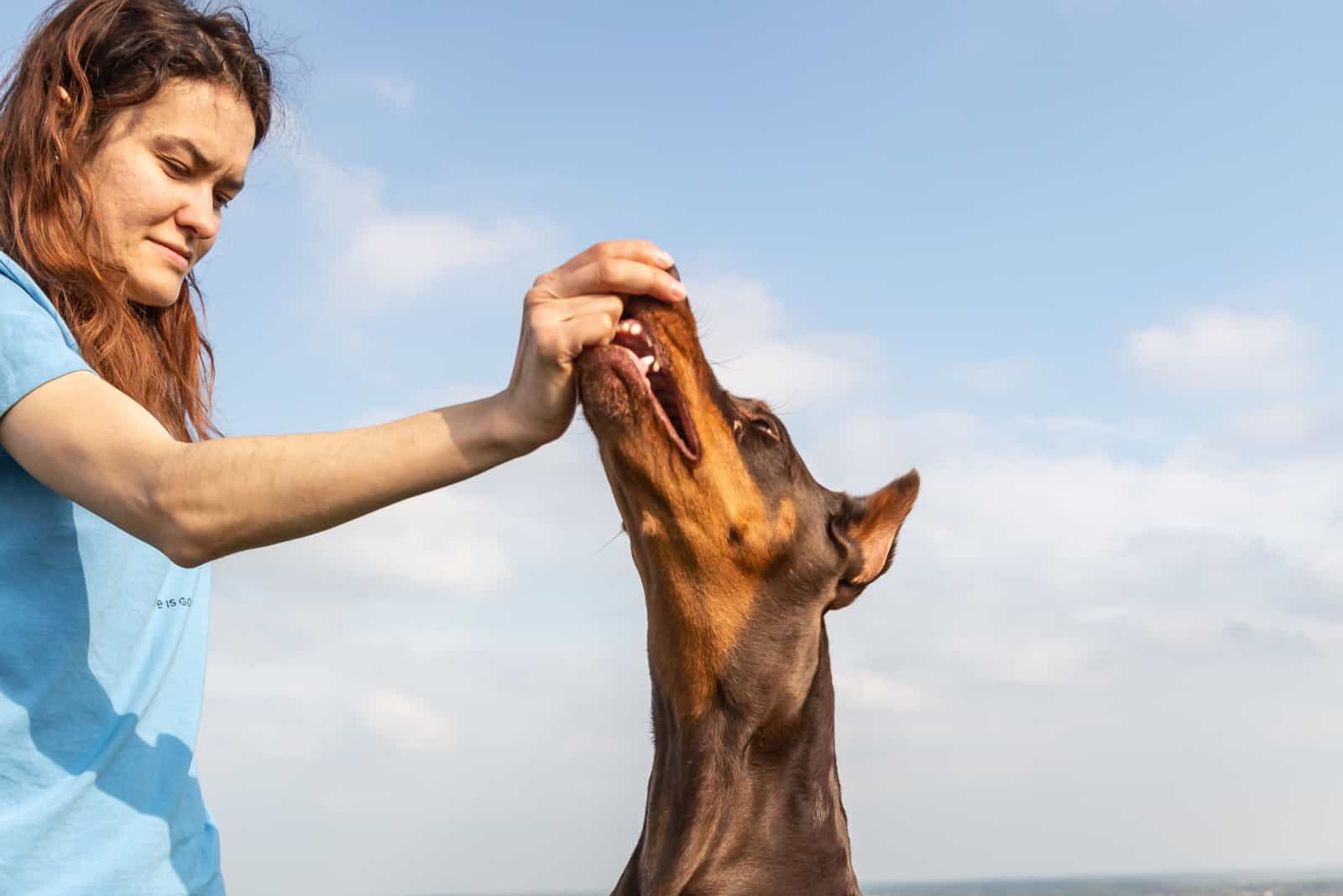 the woman feeds the doberman