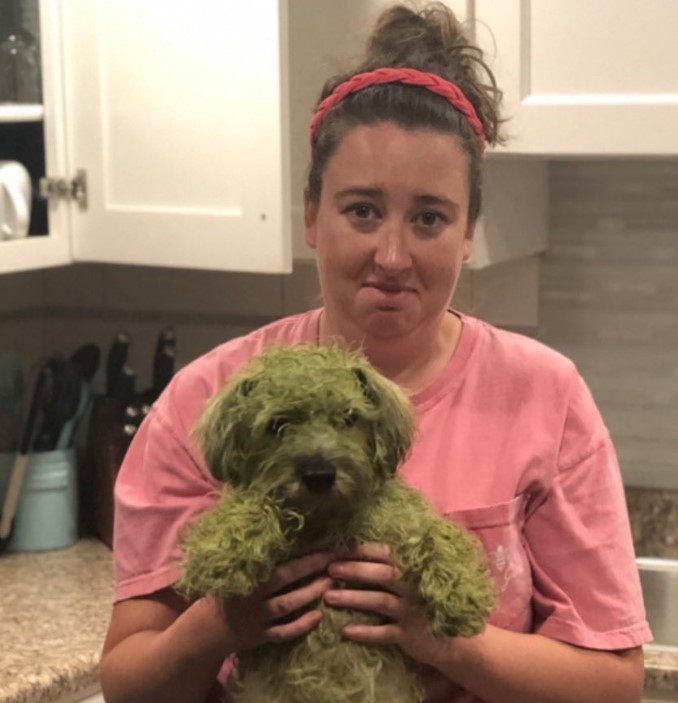 the woman is holding a dog that is green with grass