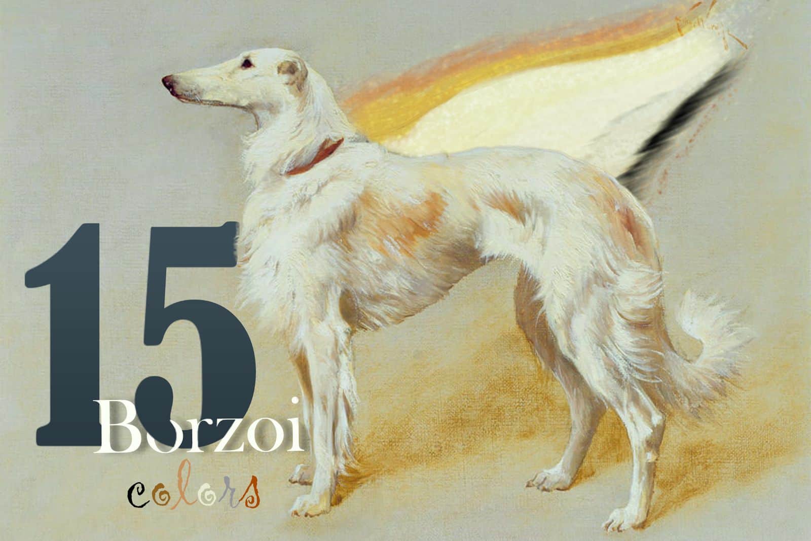 These 15 Borzoi Colors Are The Next In Fashion