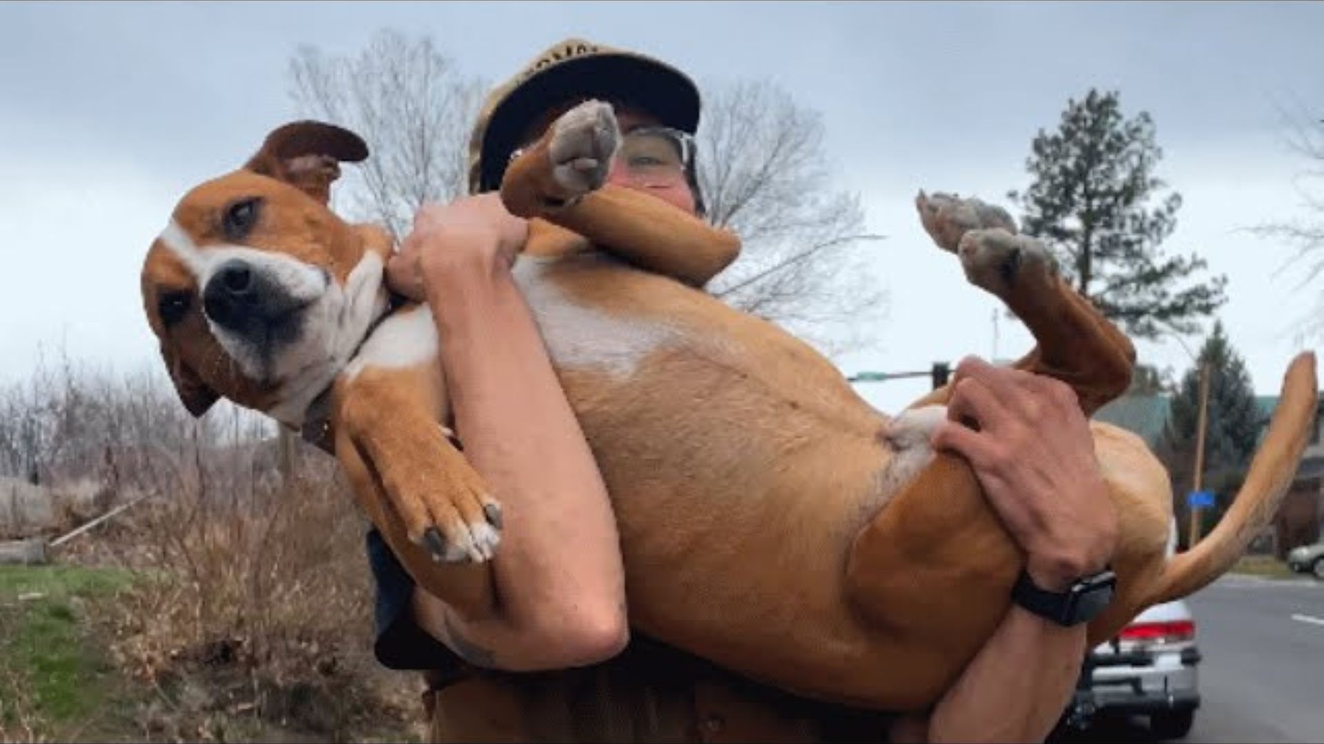 Oregon Man Falls In Love With A Pup Who Was Chained Outside For A Year Because Of His Separation Anxiety