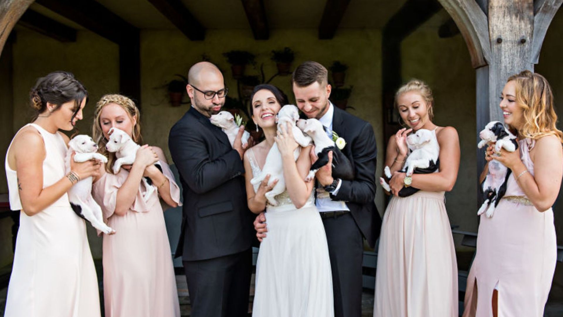 This is What Happens When You Pick Puppies Instead Of Wedding Bouquets