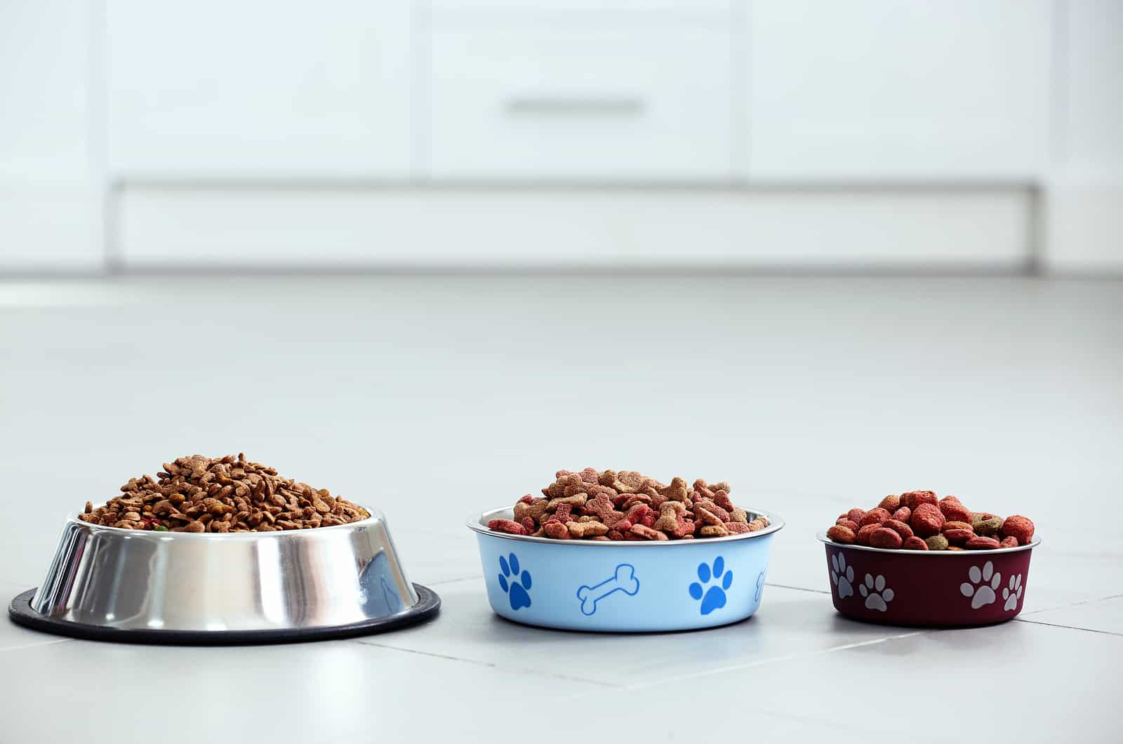 three bowls of dog food