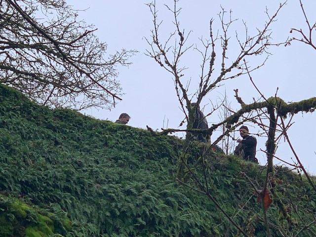 Three guys standing on a hill