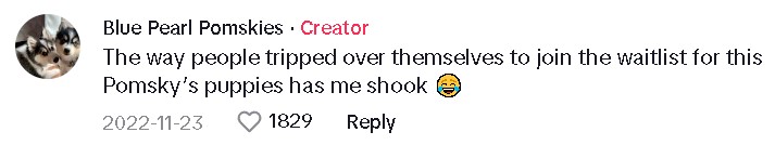 tiktok comment