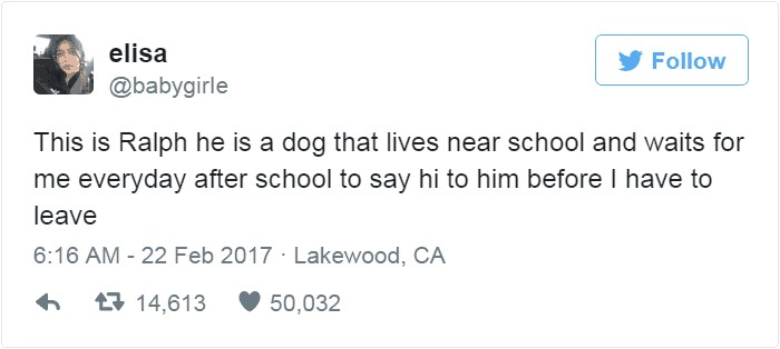 twitter post about ralph the dog