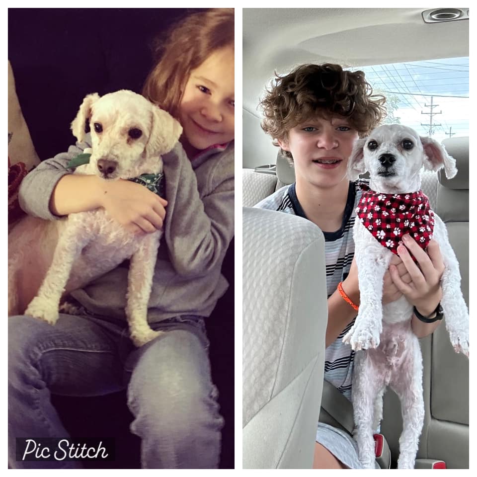 Two boys holding the dogs