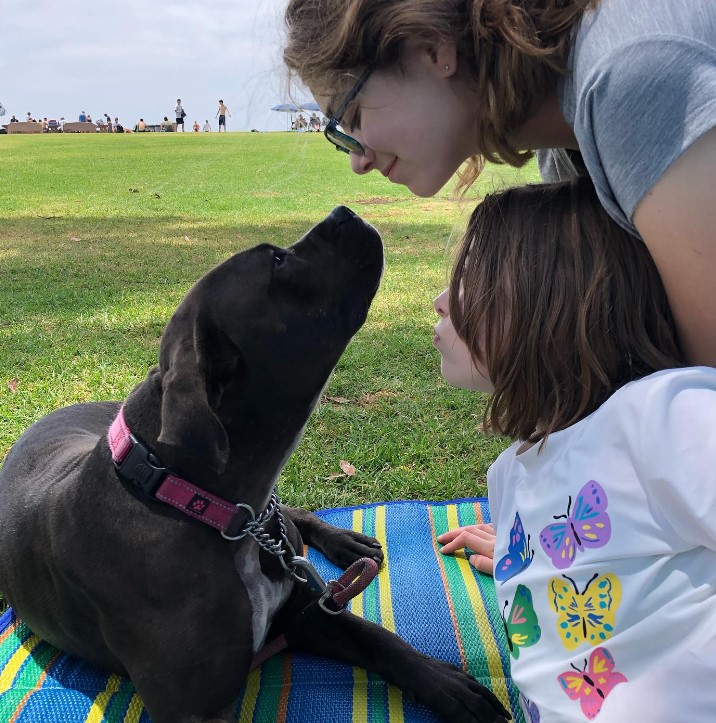 two children are playing with a pit bull in the park