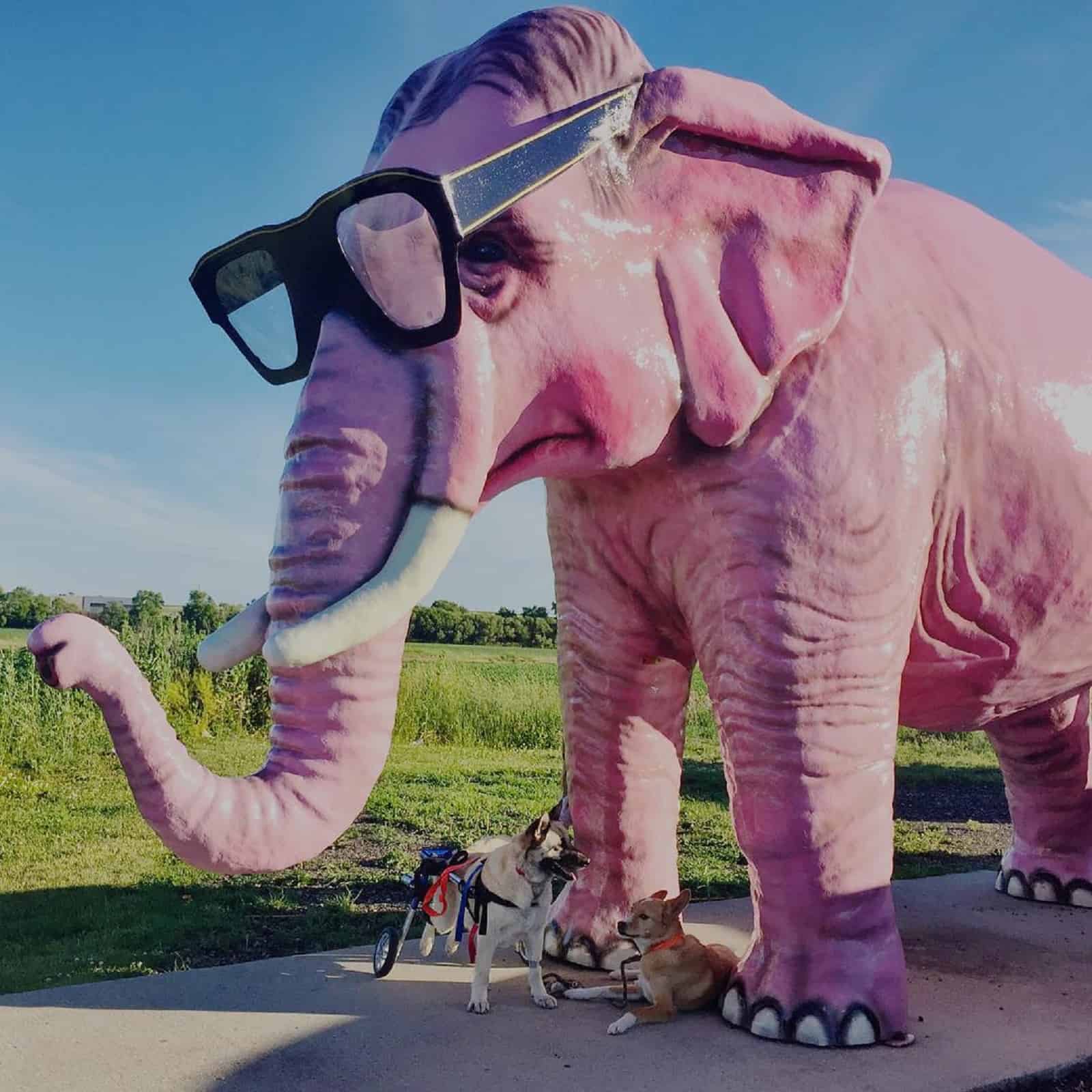 two dogs sitting beside big elephant statue in the park