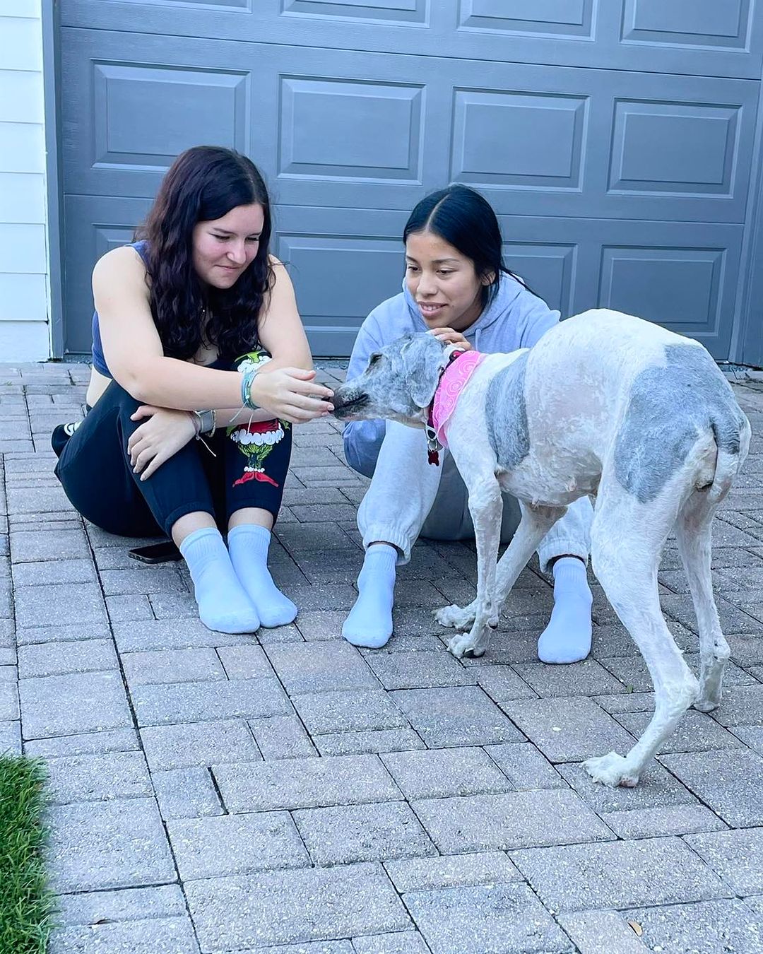 two girls playing with dog