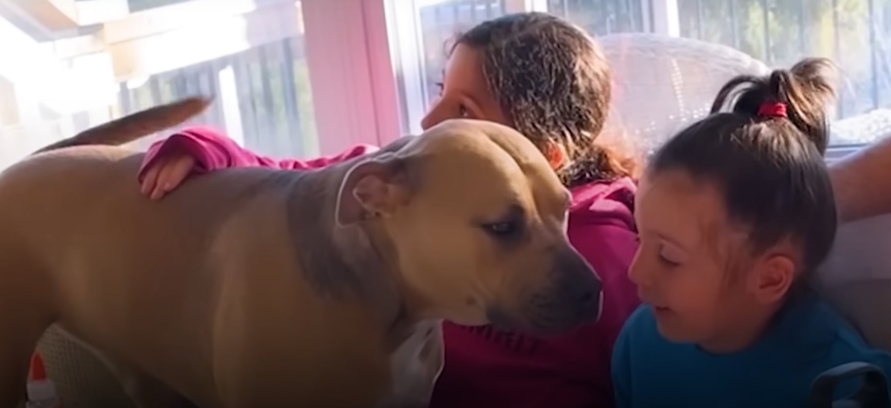 two little girls and big dog