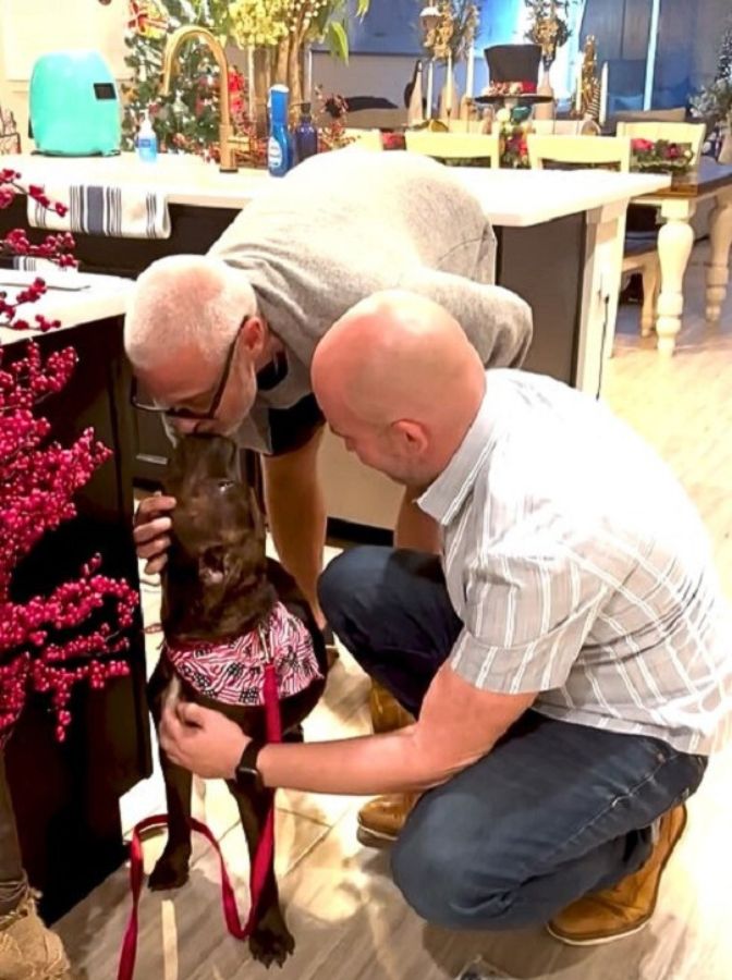 two man and a dog in the kitchen