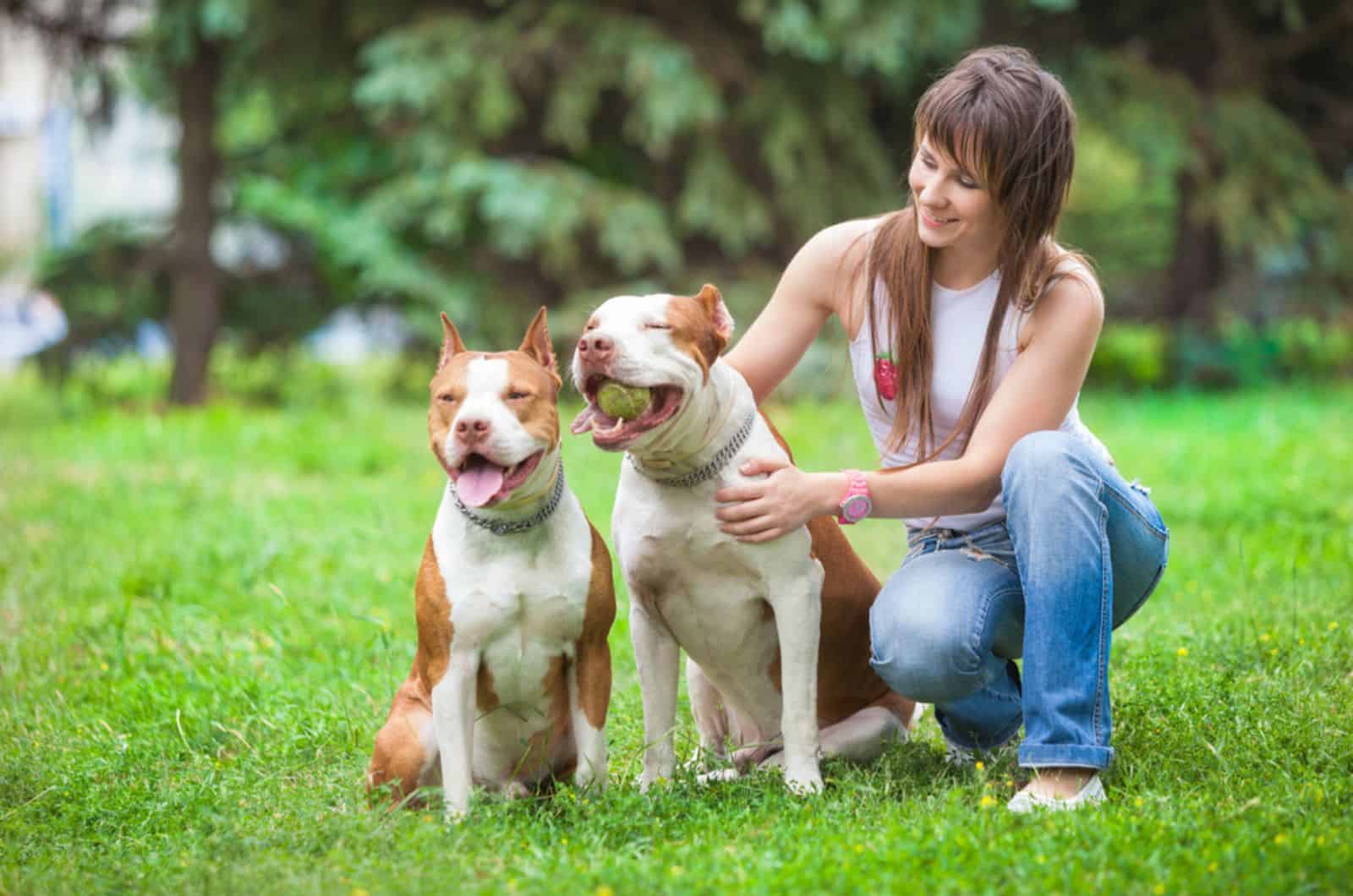 two pitbulls with their owner in the park