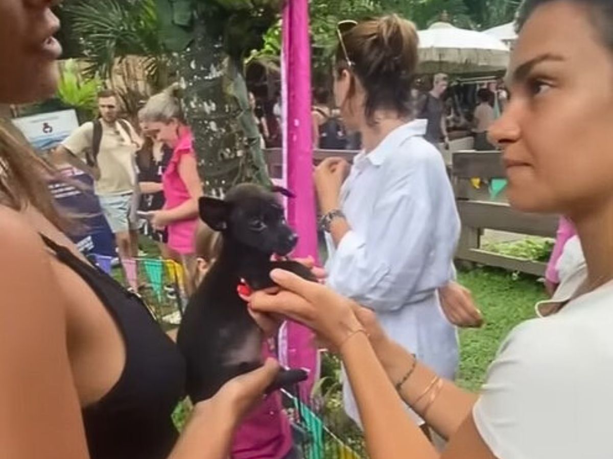 two woman and a puppy