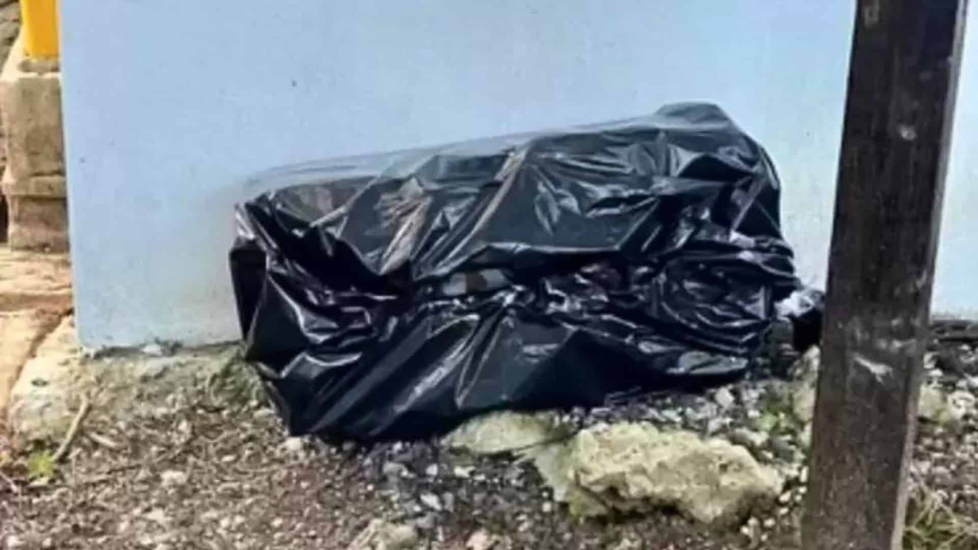 Woman Shocked To Find Out Who Was Hiding In A Mysterious Black Garbage Bag