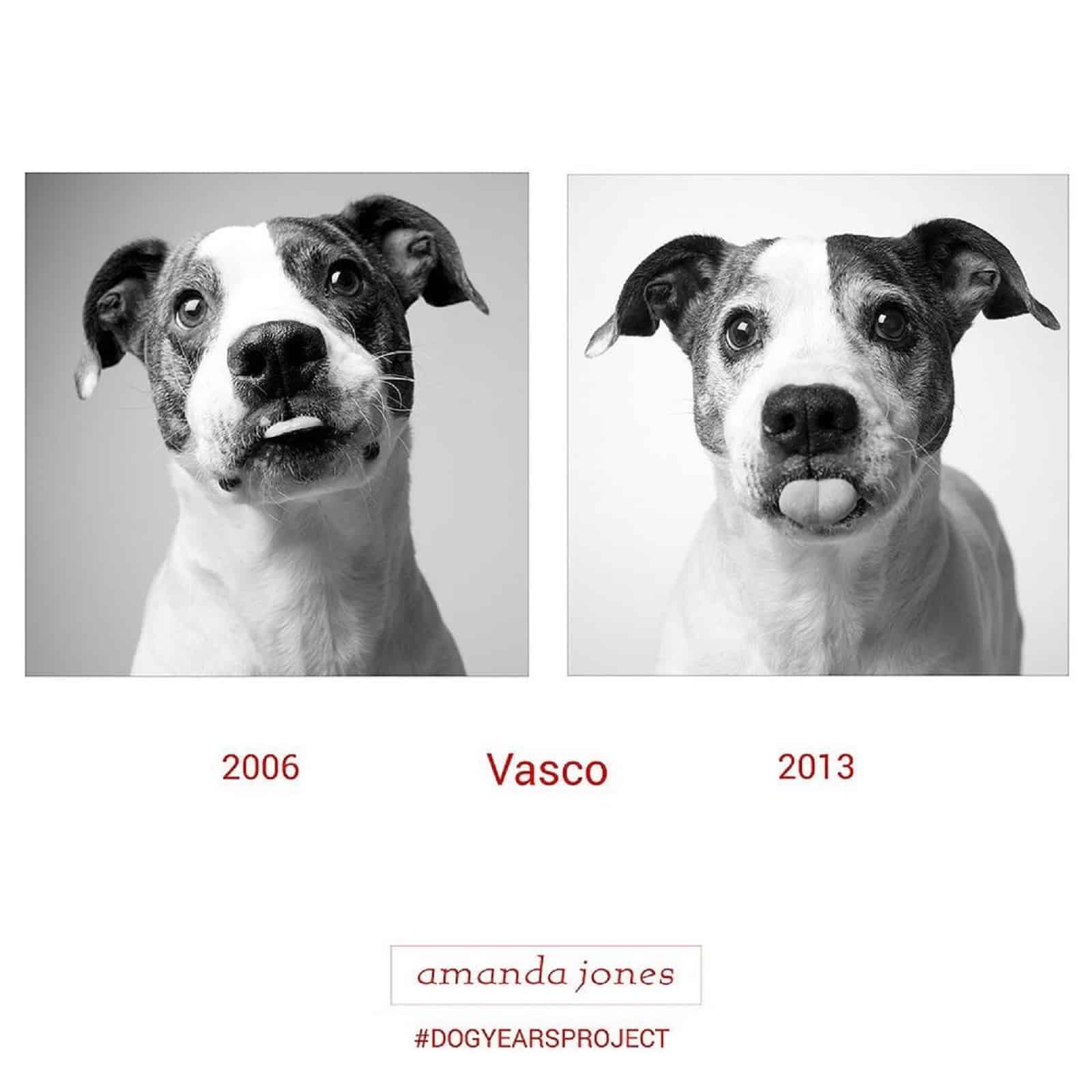 vasco dog through years