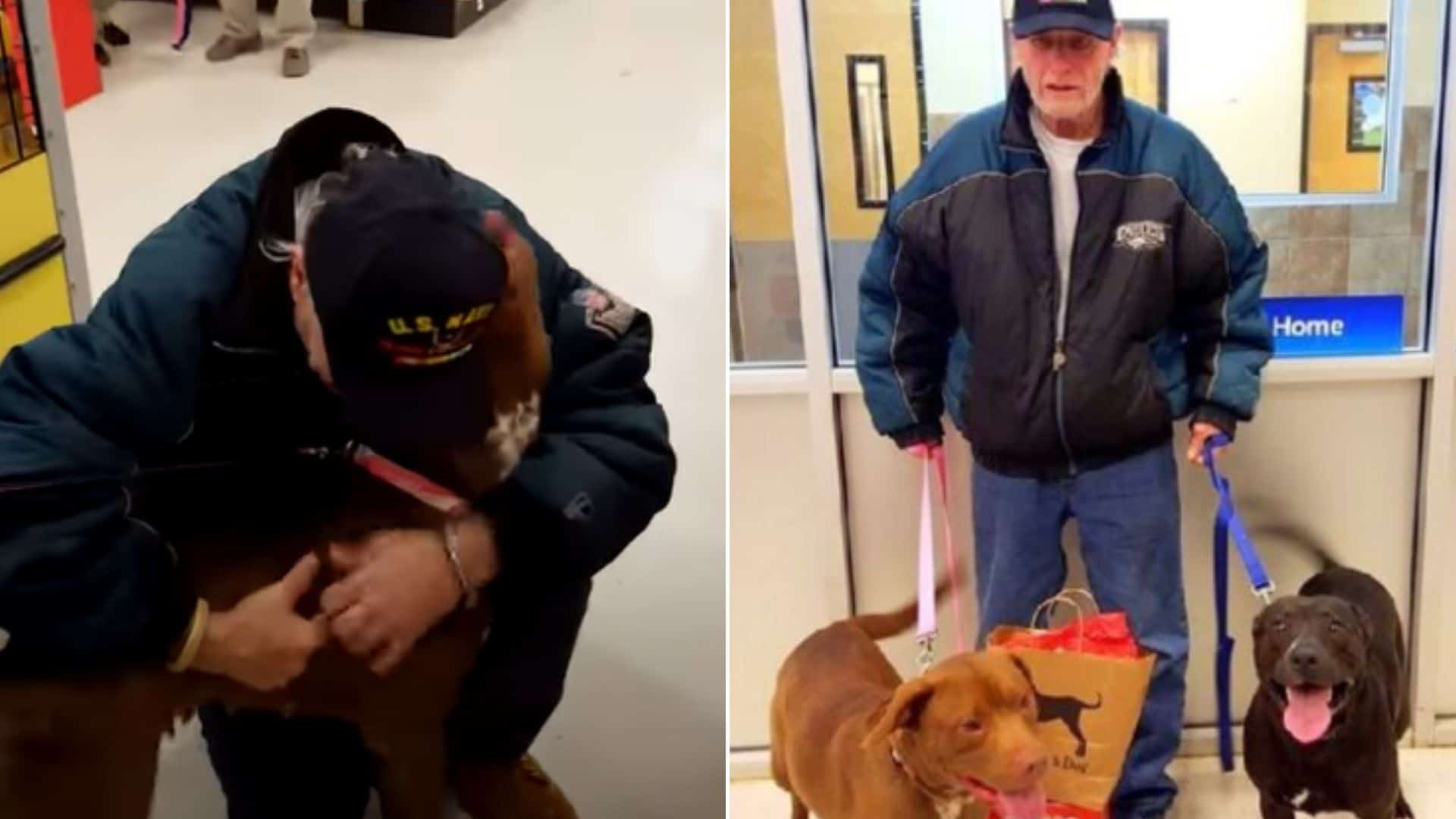 U.S.Veteran And His Beloved Dog Reunite After Monhts Of Being Apart From Each Other