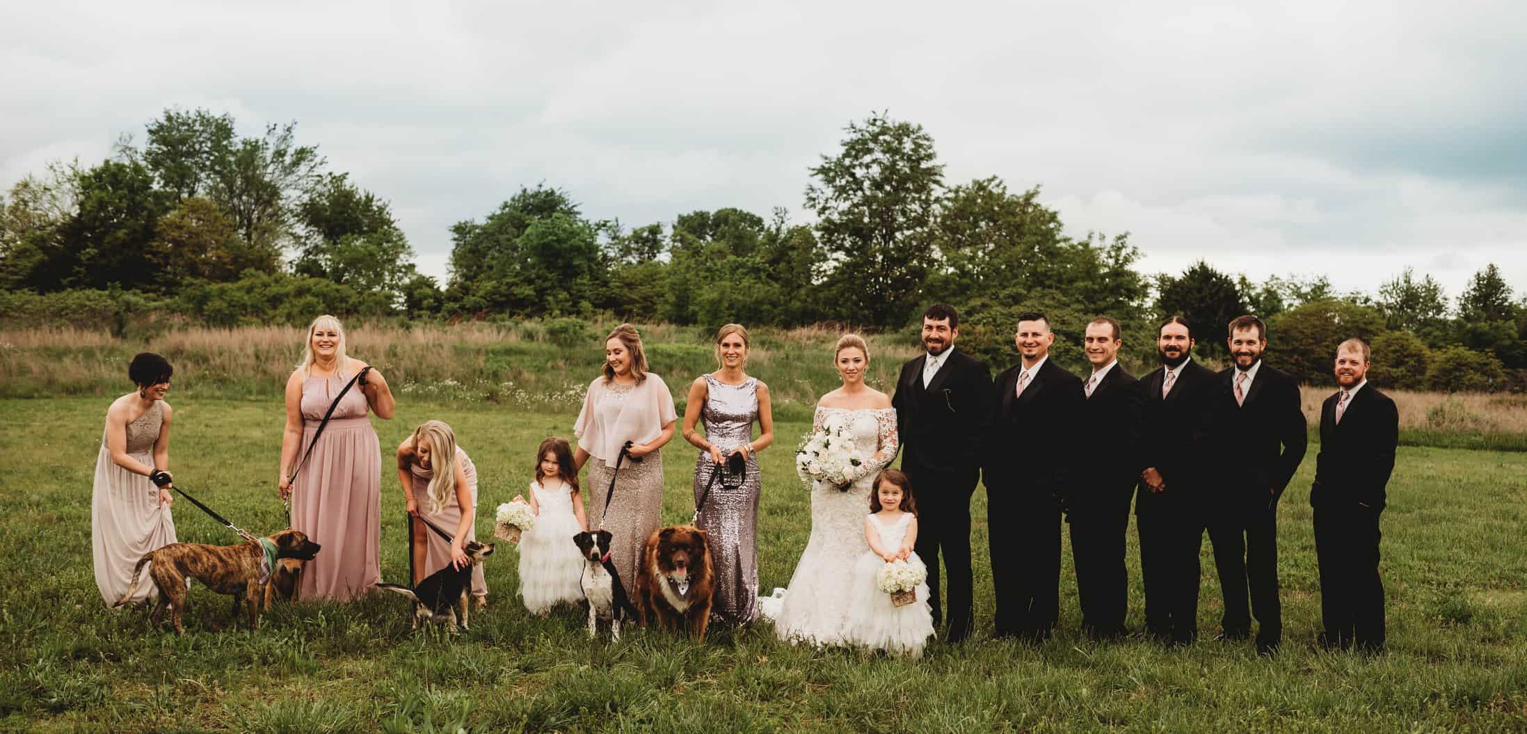 wedding couple with bridesmaids and groomsmen with shelter dogs
