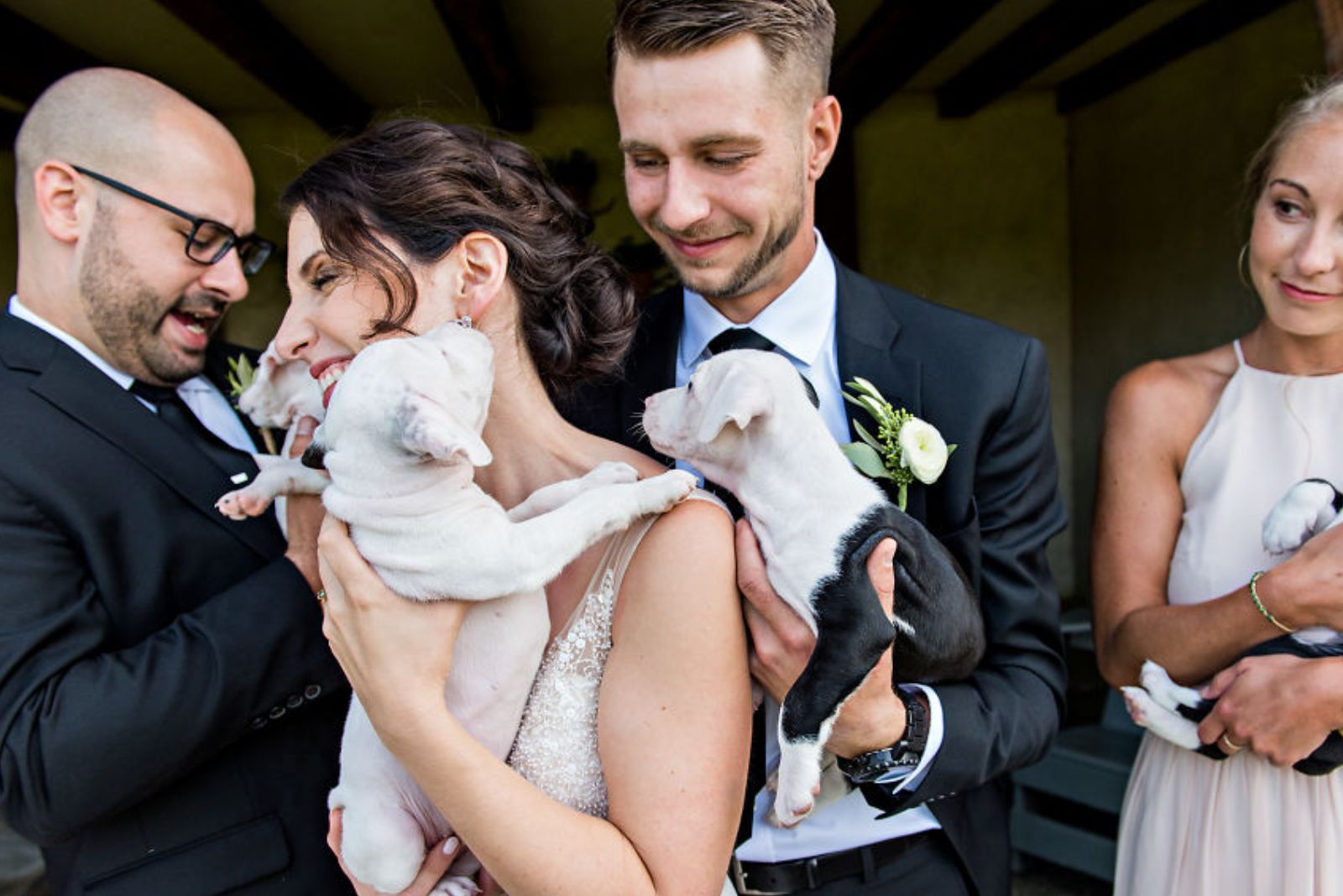 wedding guests holding puppies