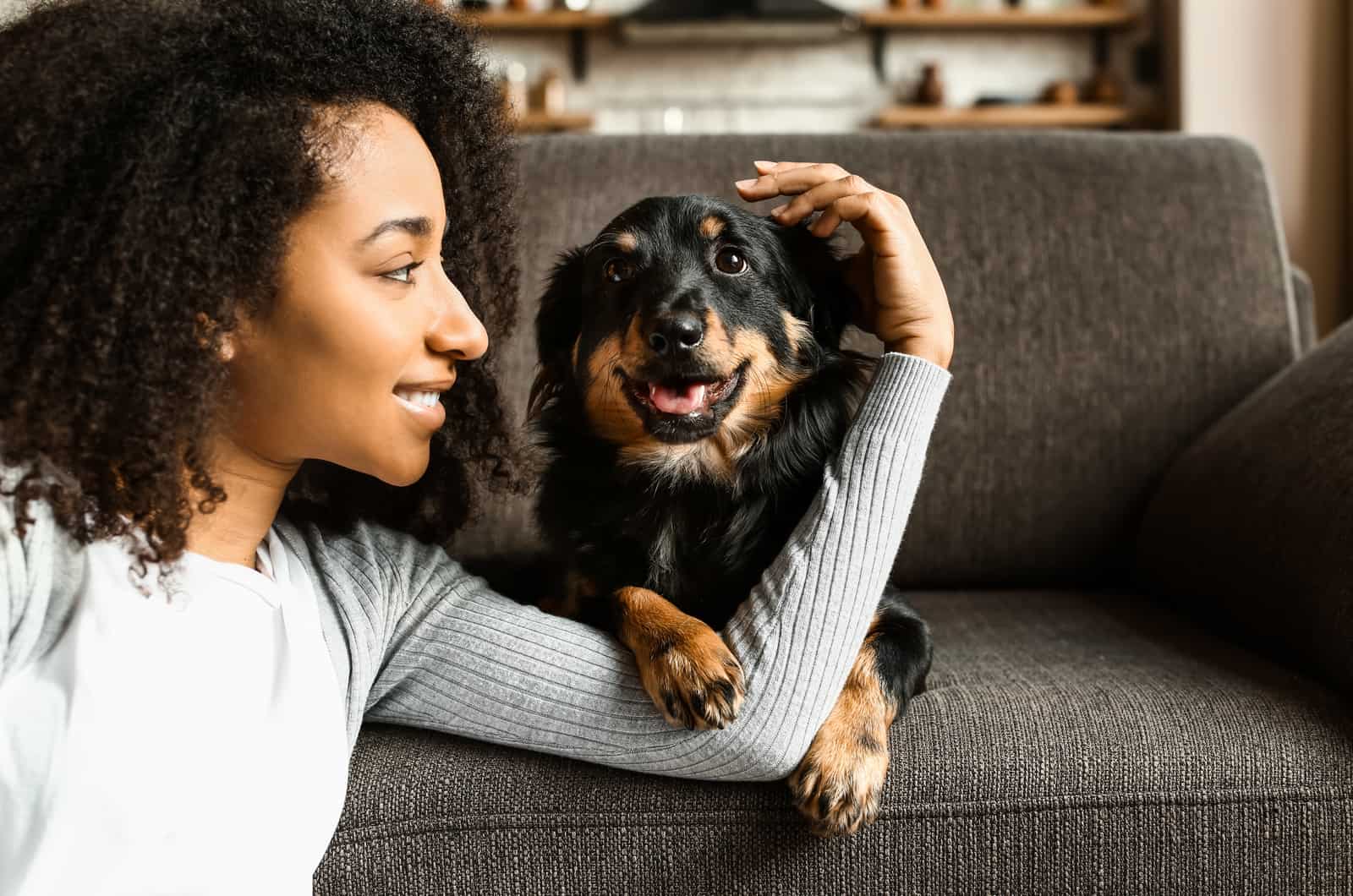 Why Does My Dog Follow Me To The Bathroom? 20 Reasons