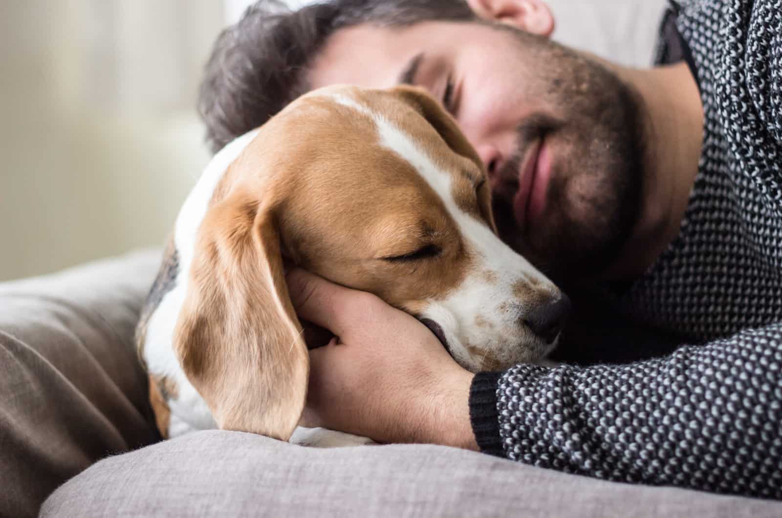 Why Does My Dog Sleep So Close To Me? Dog Behavior Explained