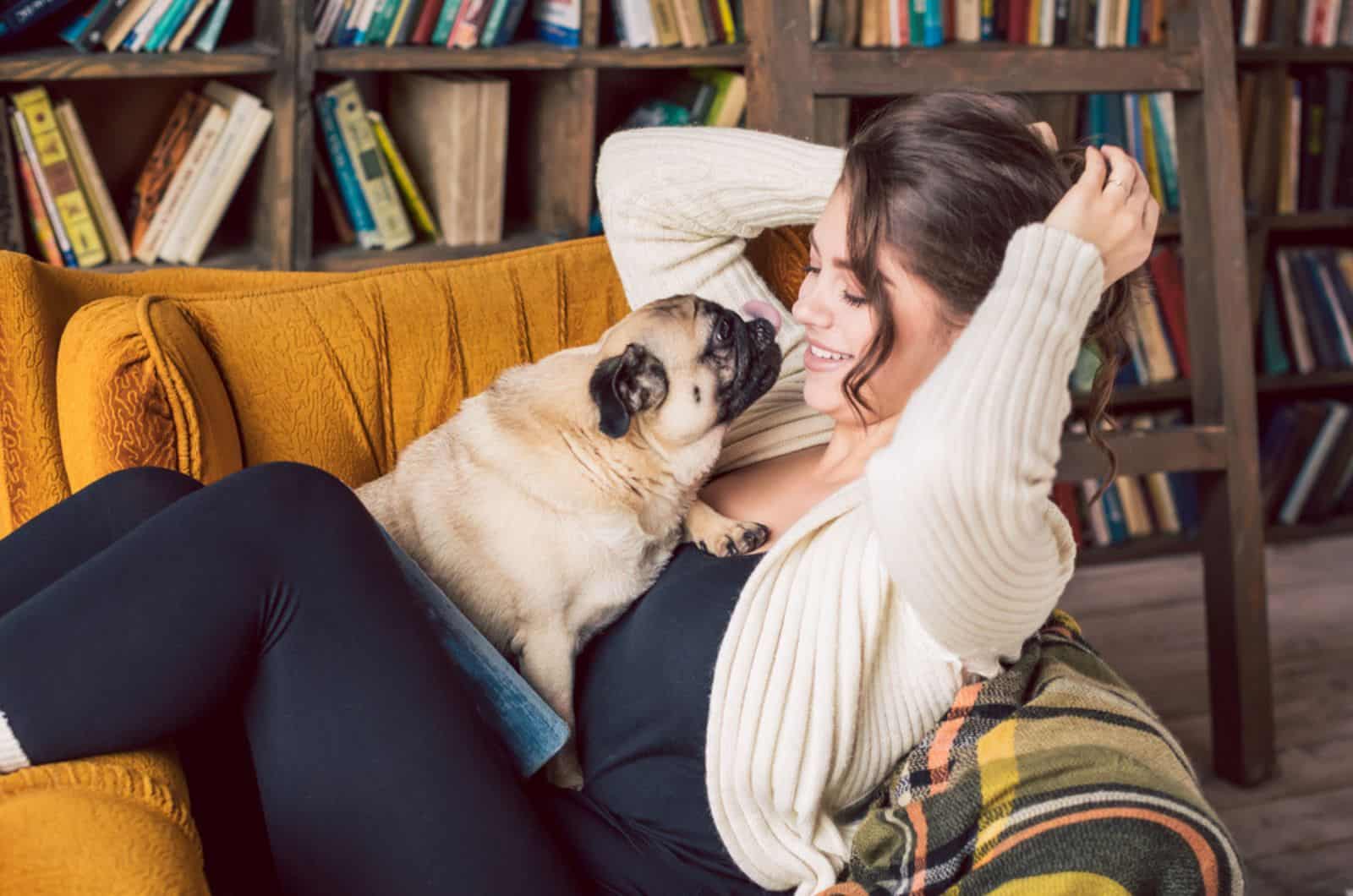 Why Does My Pug Lick Me So Much? 11 Pugly & Snugly Reasons