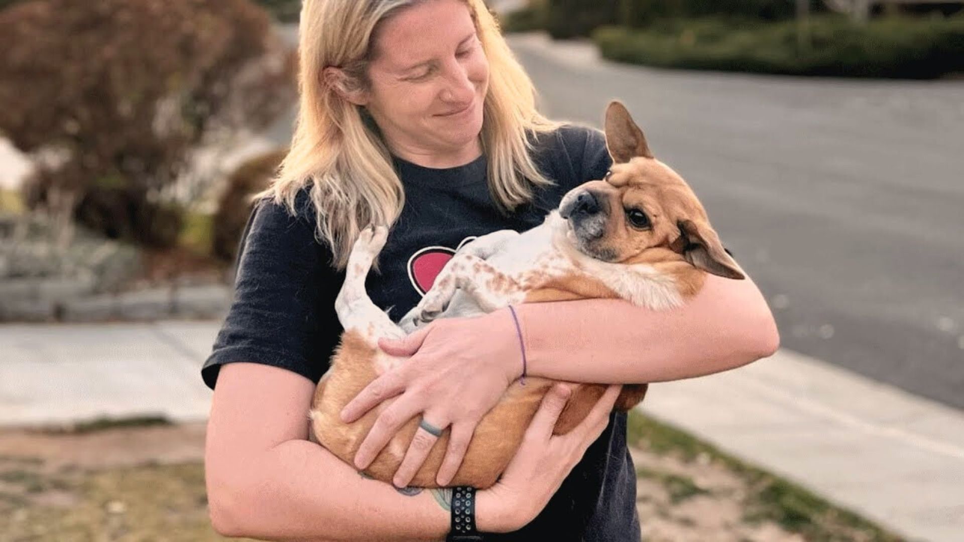 This Dog Is A Mix Of 13 Different Breeds And He Is Just So Adorable