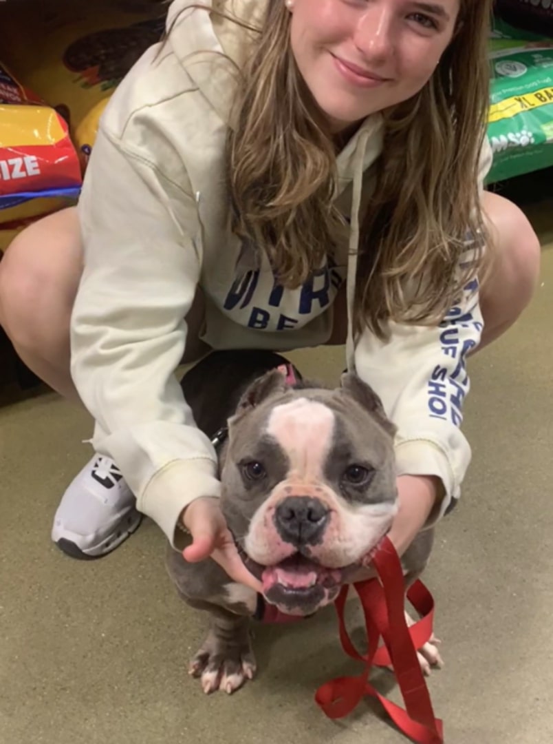 woman and beautiful dog