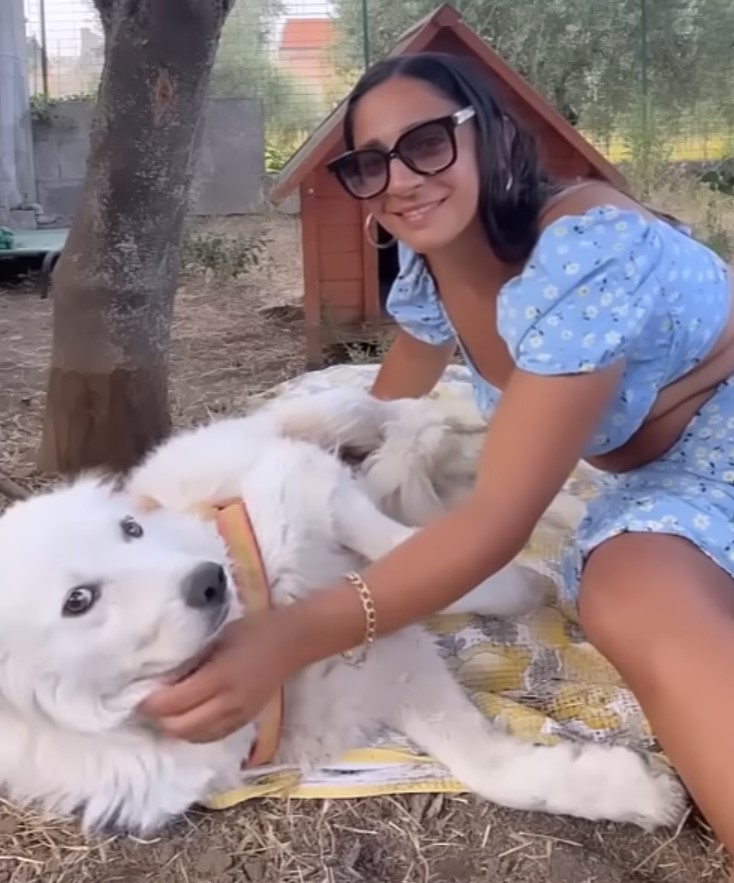 woman and big white dog