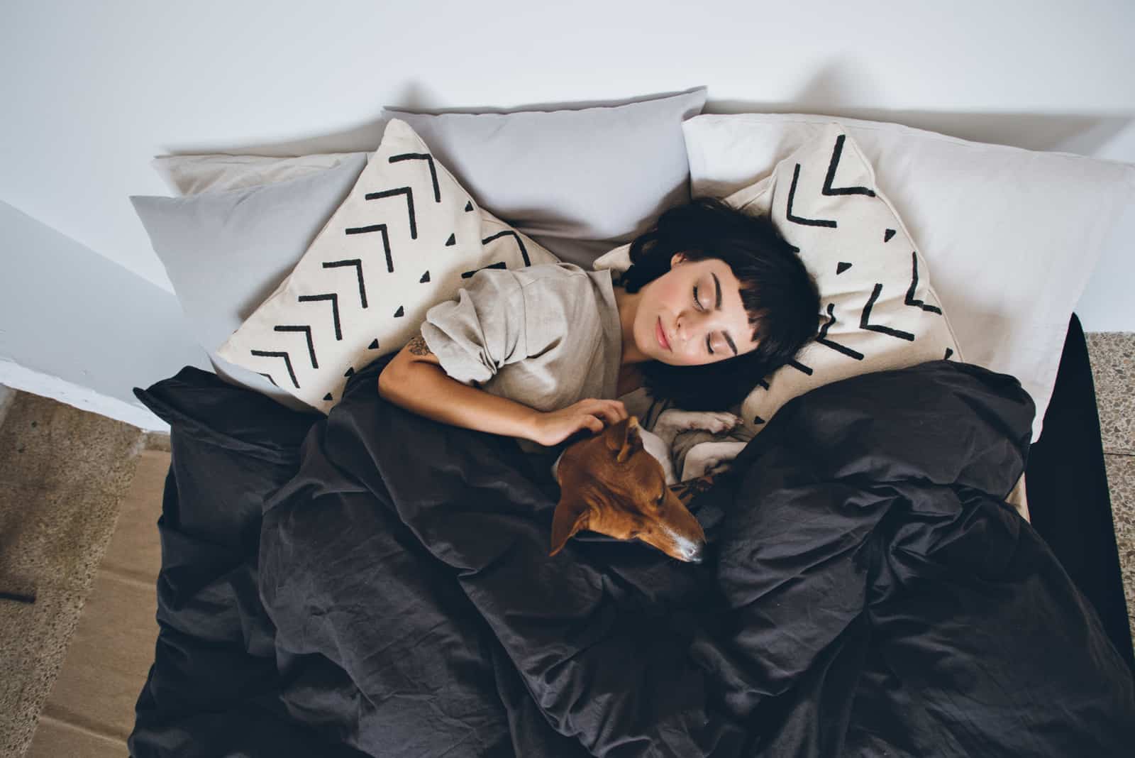 woman and dog lying in bed