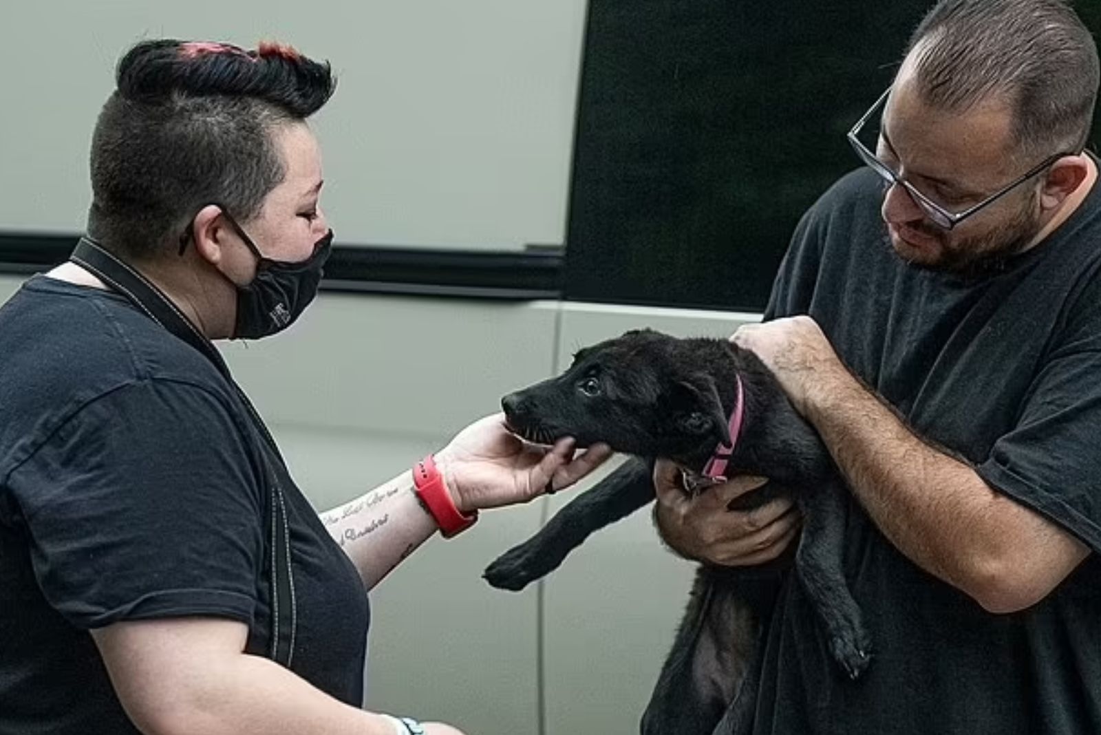 woman and man holding a dog