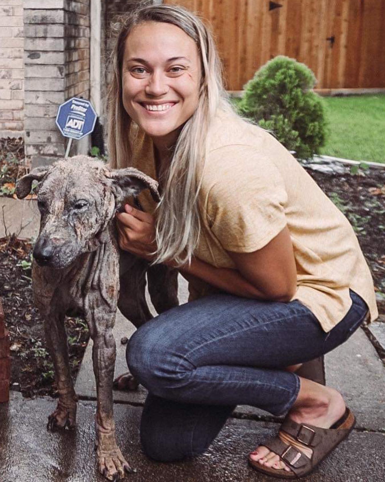 woman and neglected dog