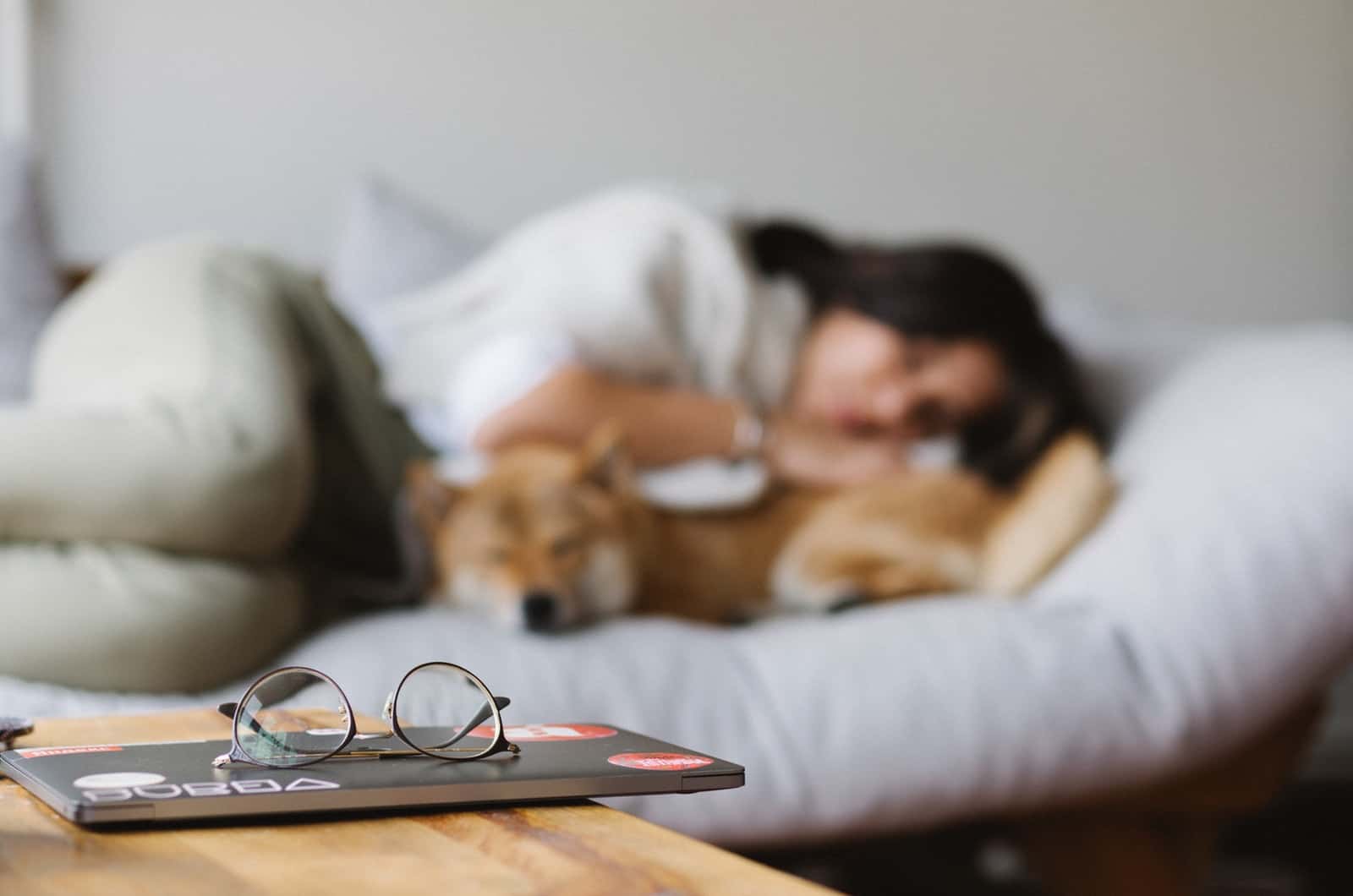 woman and shiba inu sleeping