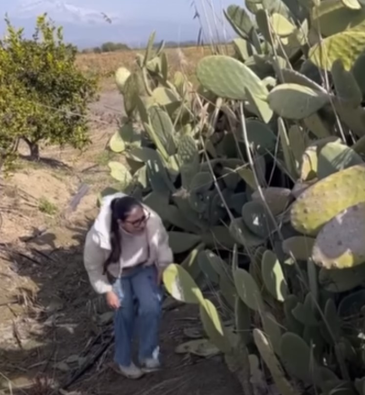 woman and tall cactuses