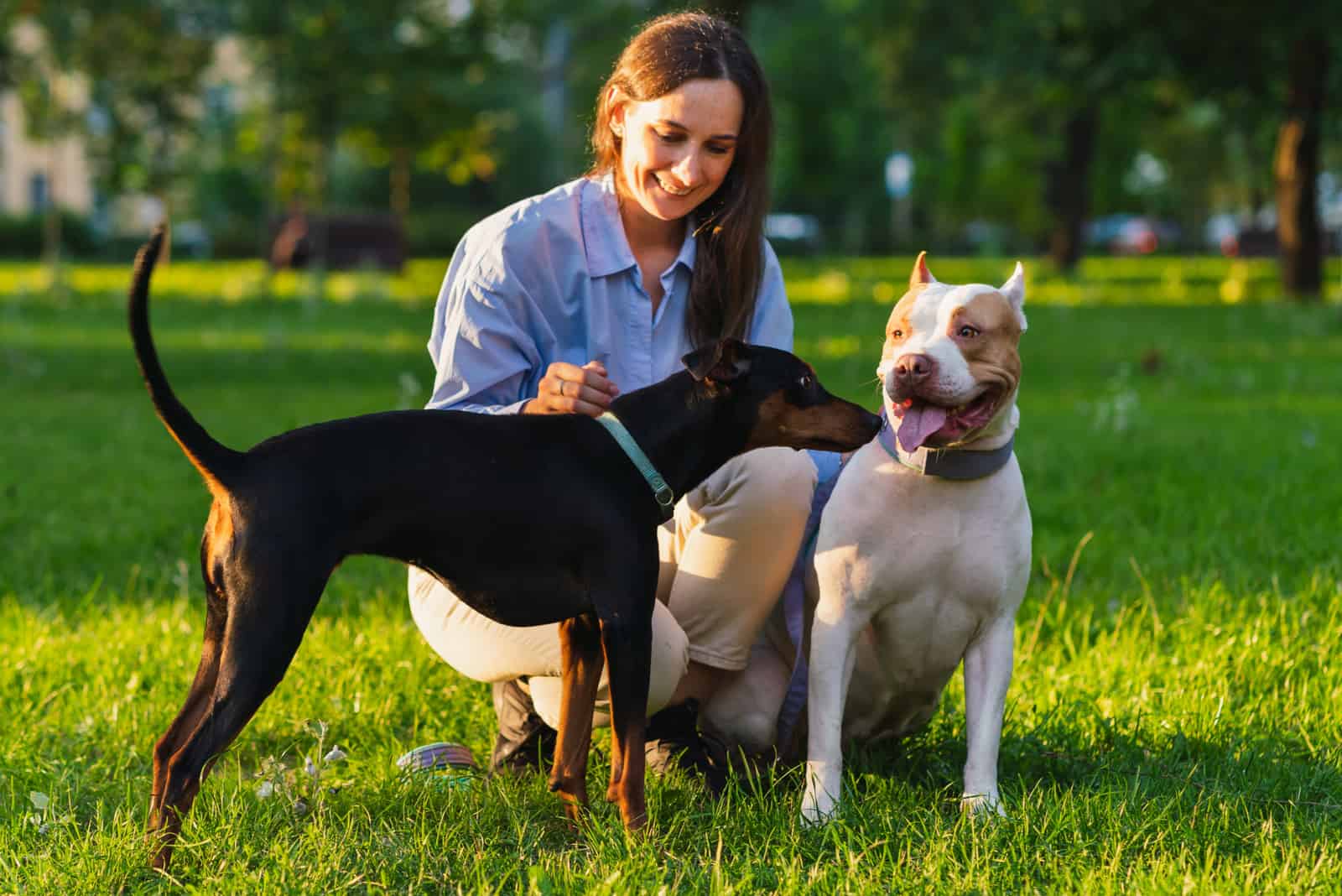 woman and two dogs in a park