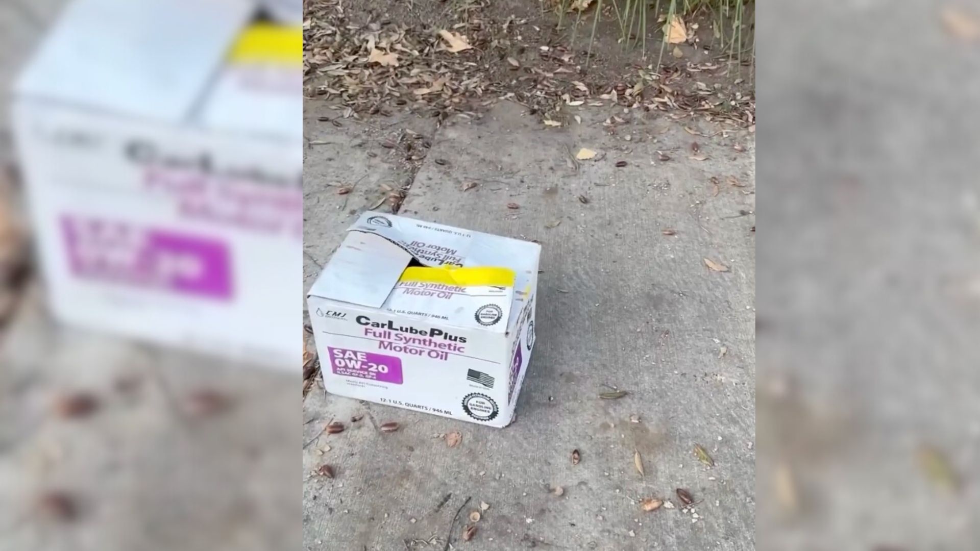 Woman Driving Was Shocked To Discover A Mystery Box Sitting On A Sidewalk