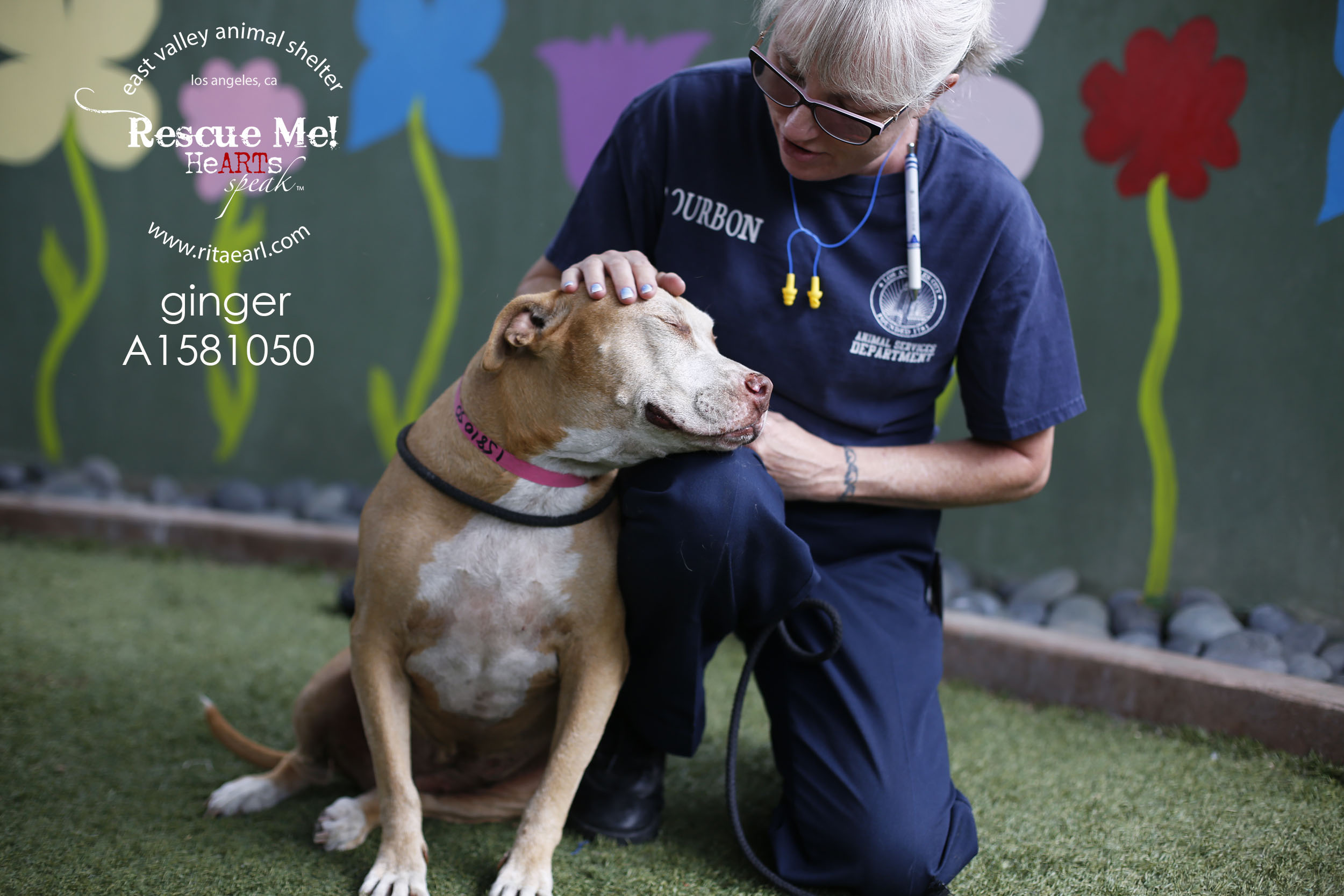 woman carresing dog in a shelter