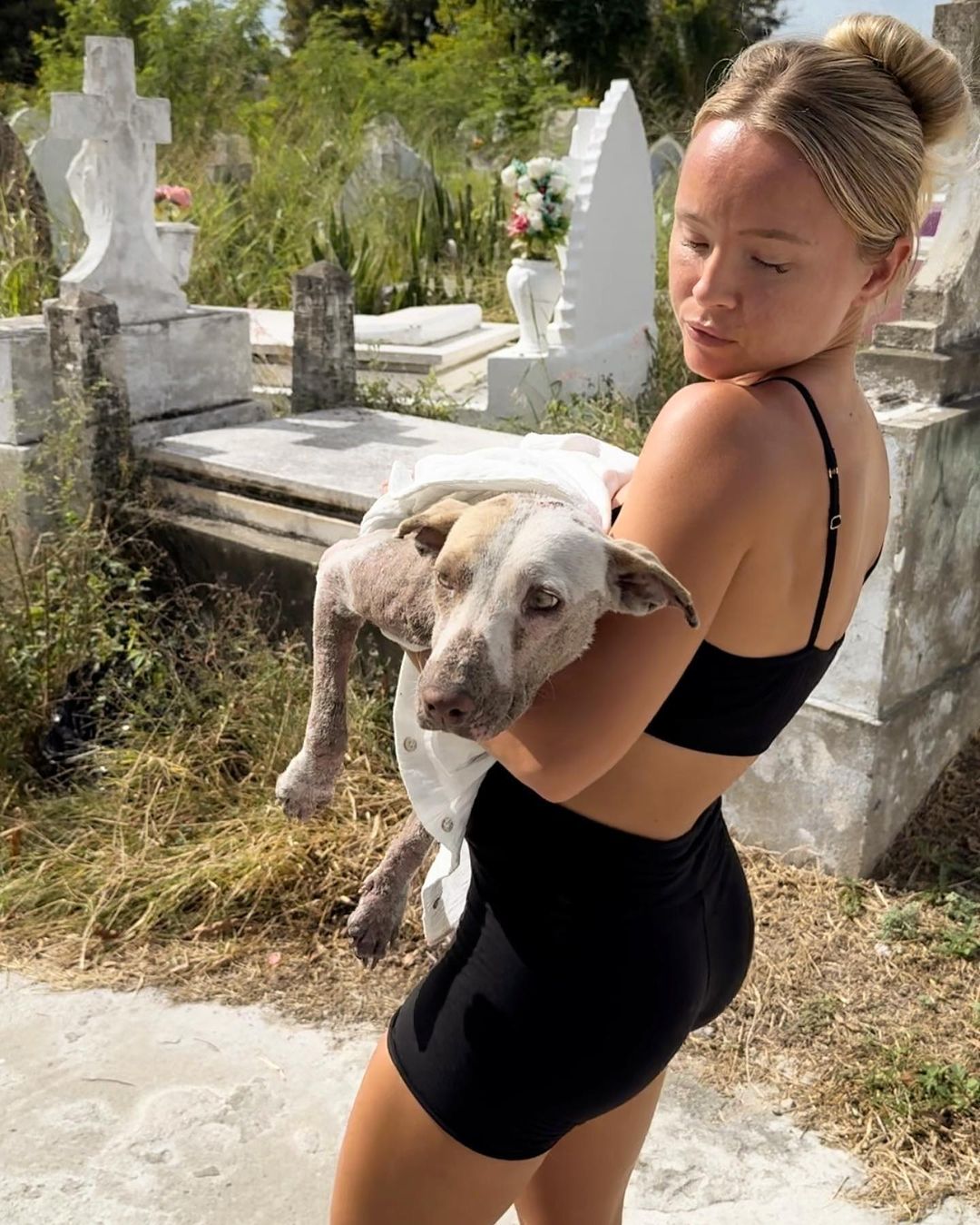 woman carrying injured dog