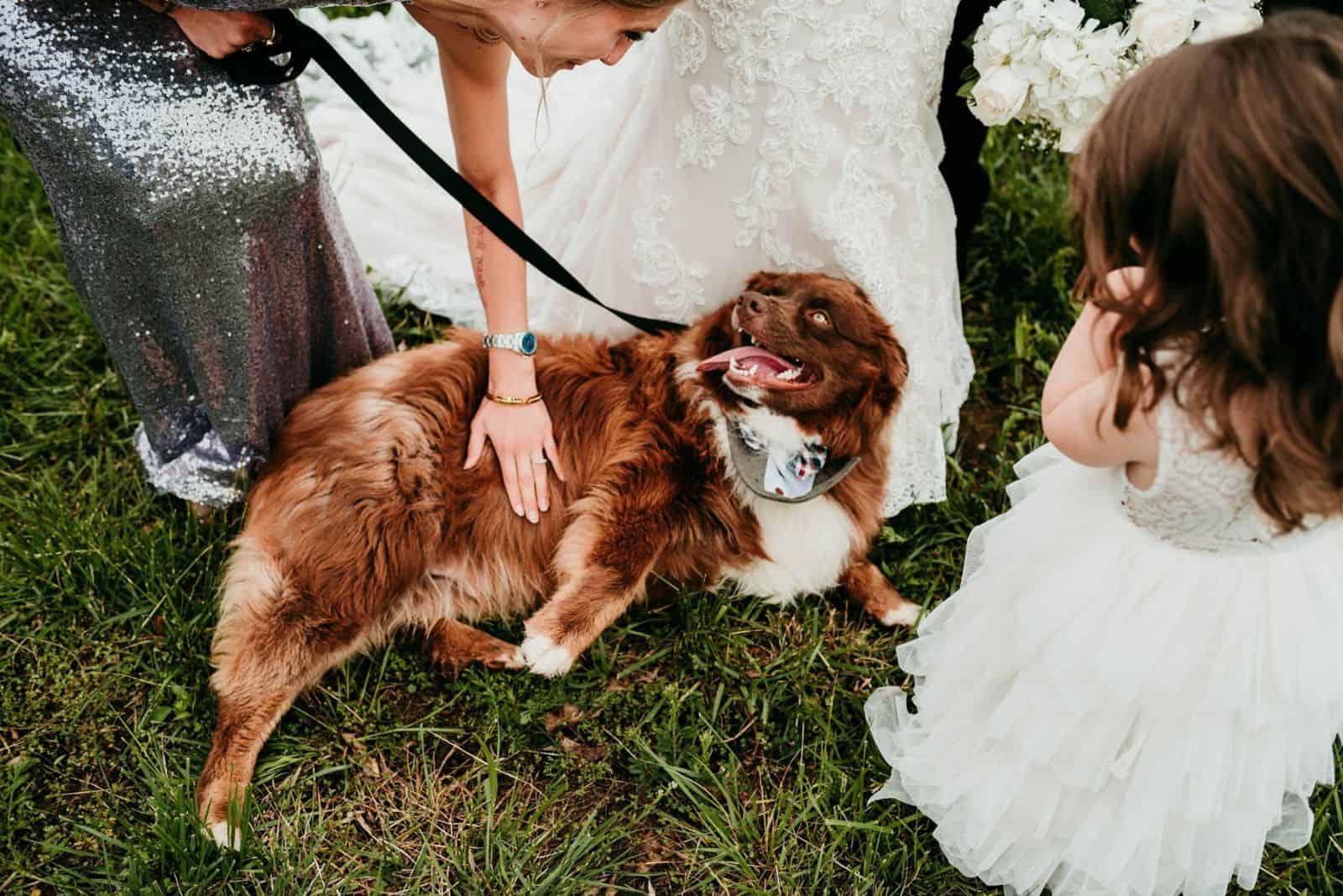 woman cuddling a dog at wedding