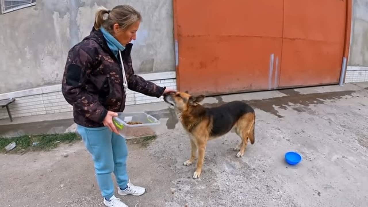 woman cuddling german shepherd dog on the street